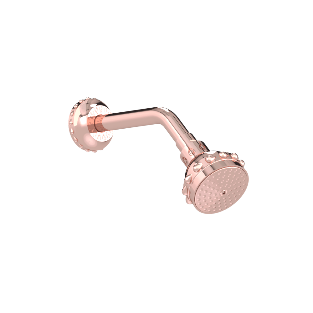 Unity Shower Head with Rosette