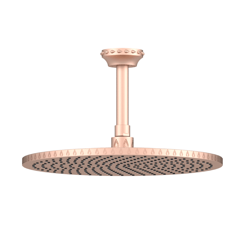 Unity 12" Round Ceiling Mount Rainhead with Swivel Easy Clean Jets