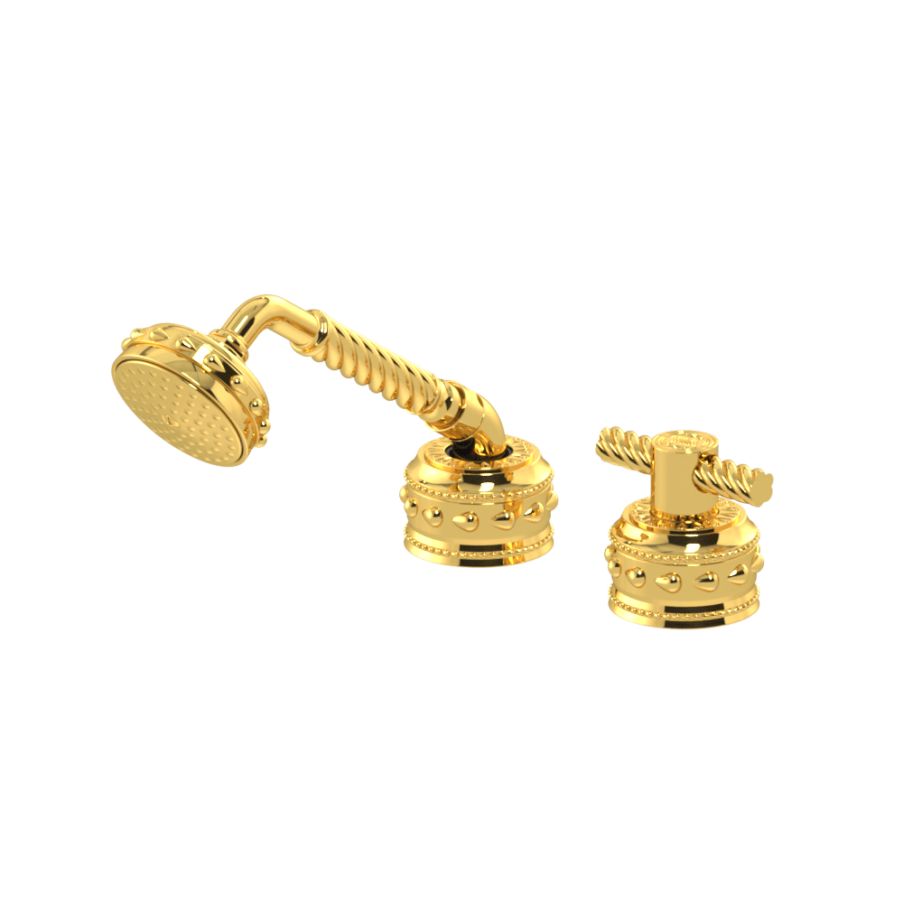 Eternity Roman Tub Handshower & Duo Diverter